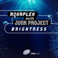 Aquaplex, Junk Project