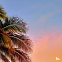 Slomow, Summum, P-Rob, himood