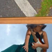 EASHA
