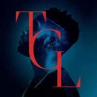Tinie Tempah, Zara Larsson