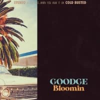 Goodge, Cold Busted
