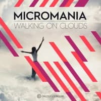 Micro Mania