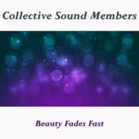 Collective Sound Members