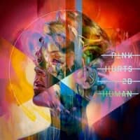 P!nk, Cash Cash