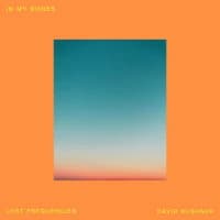 Lost Frequencies, David Kushner