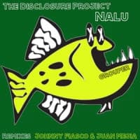 The Disclosure Project