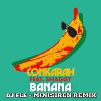Conkarah, Shaggy, DJ Fle