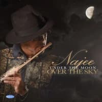 Najee, Will Downing