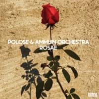 Polose, Ammuin Orchestra