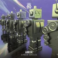 Amber Broos