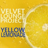 Velvet Lounge Project
