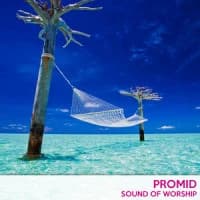 PrOmid