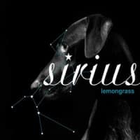 Lemongrass
