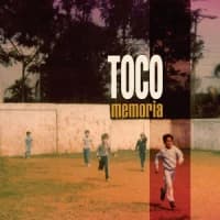 Toco