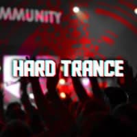 Avicii, David Guetta, MORTEN