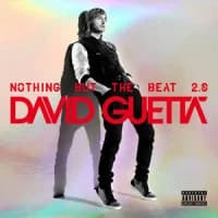 David Guetta, Sia