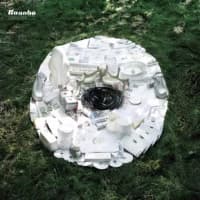 Bonobo